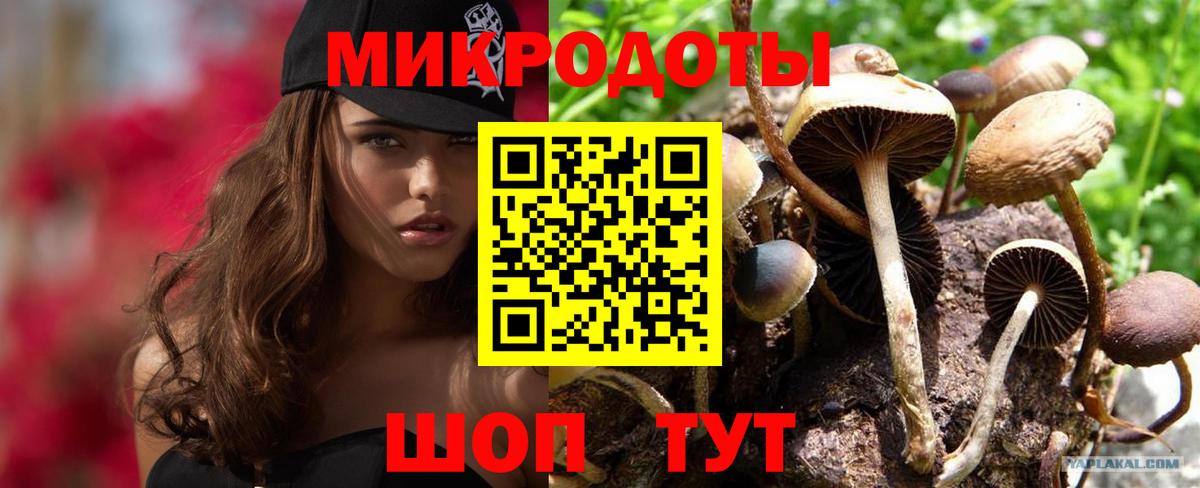 Псилоцибиновые грибы MAGIC MUSHROOMS Топки