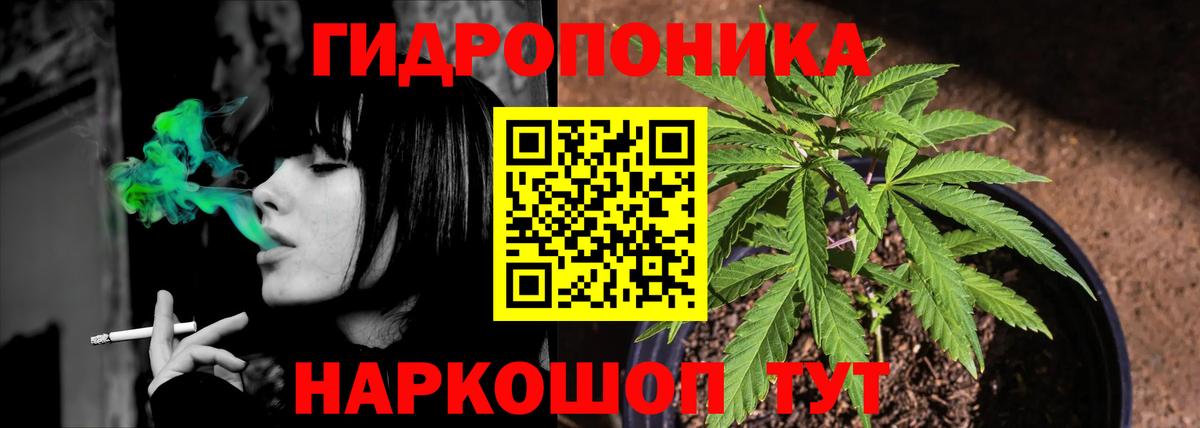 Топки  Канабис ГИДРОПОН  Вход с VPN  Каннабис White Widow  Конопля гибрид 